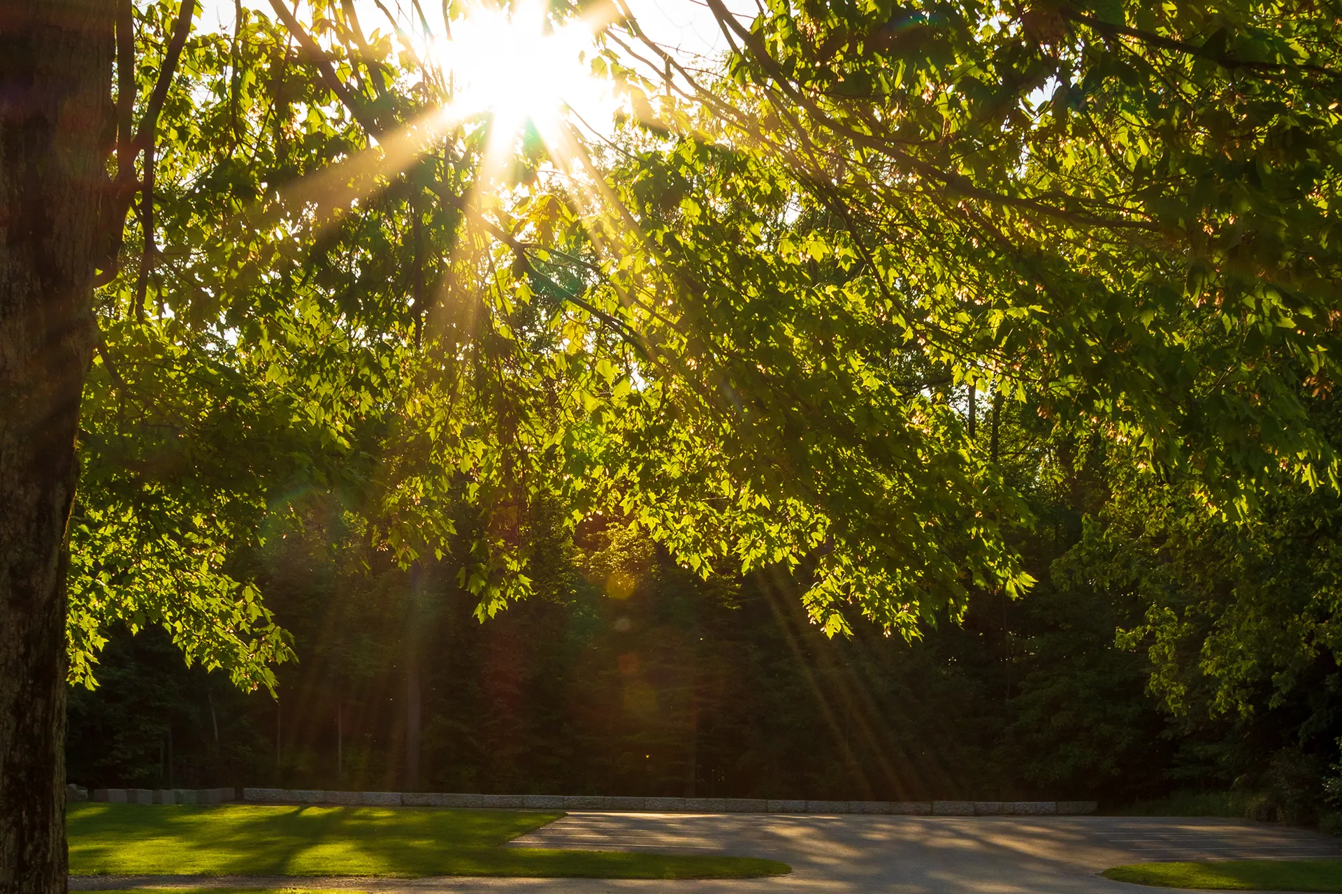 Willkommen an der Weida!